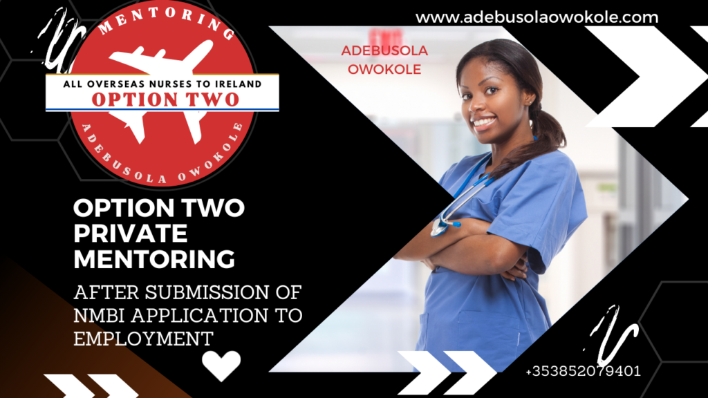 This image has an empty alt attribute; its file name is Private_Mentoring_Adebusola_Owokole-1-1024x576.png